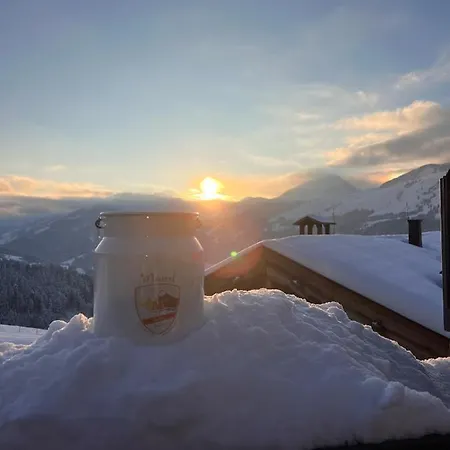 Maierl-alm & Maierl-chalets Aparthotel